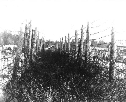 Stalag Luft III double fences
